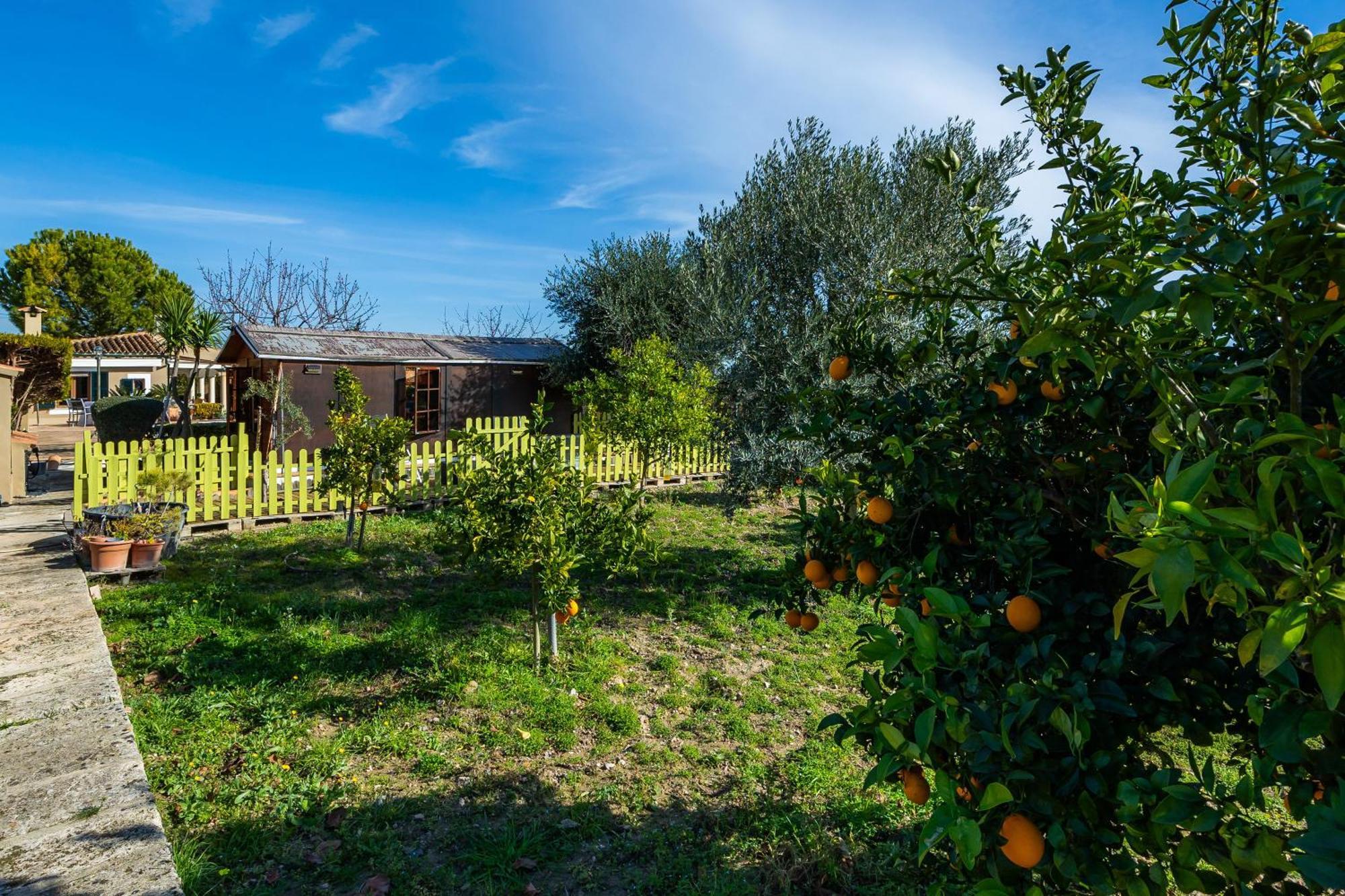 Finca Son Macia سيلفا المظهر الخارجي الصورة